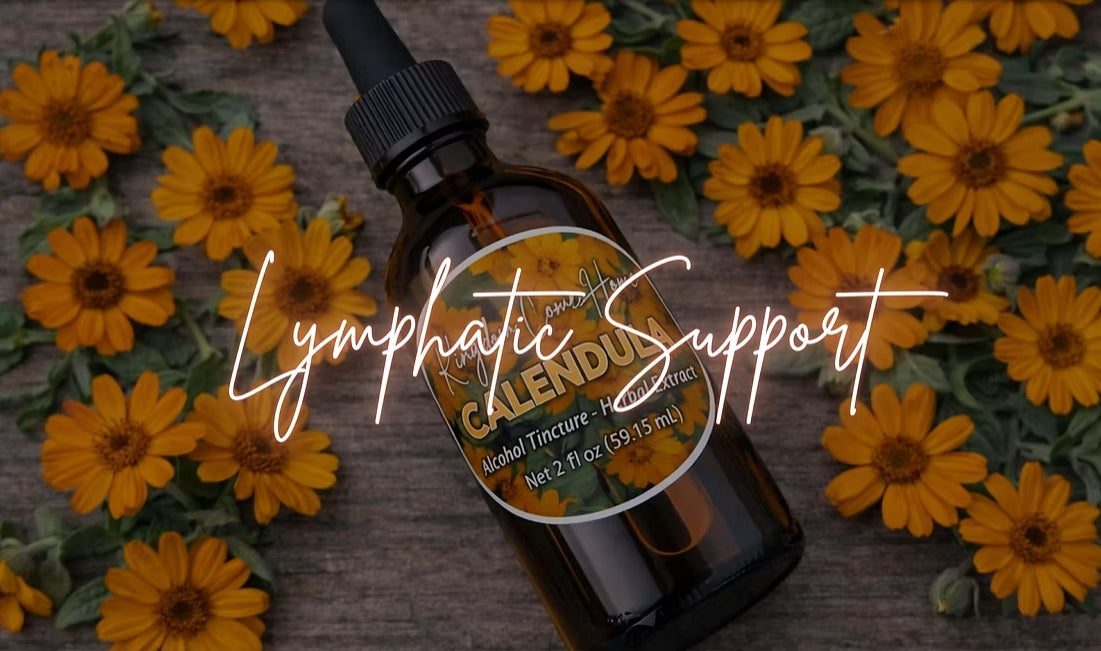 Lymphatic Support