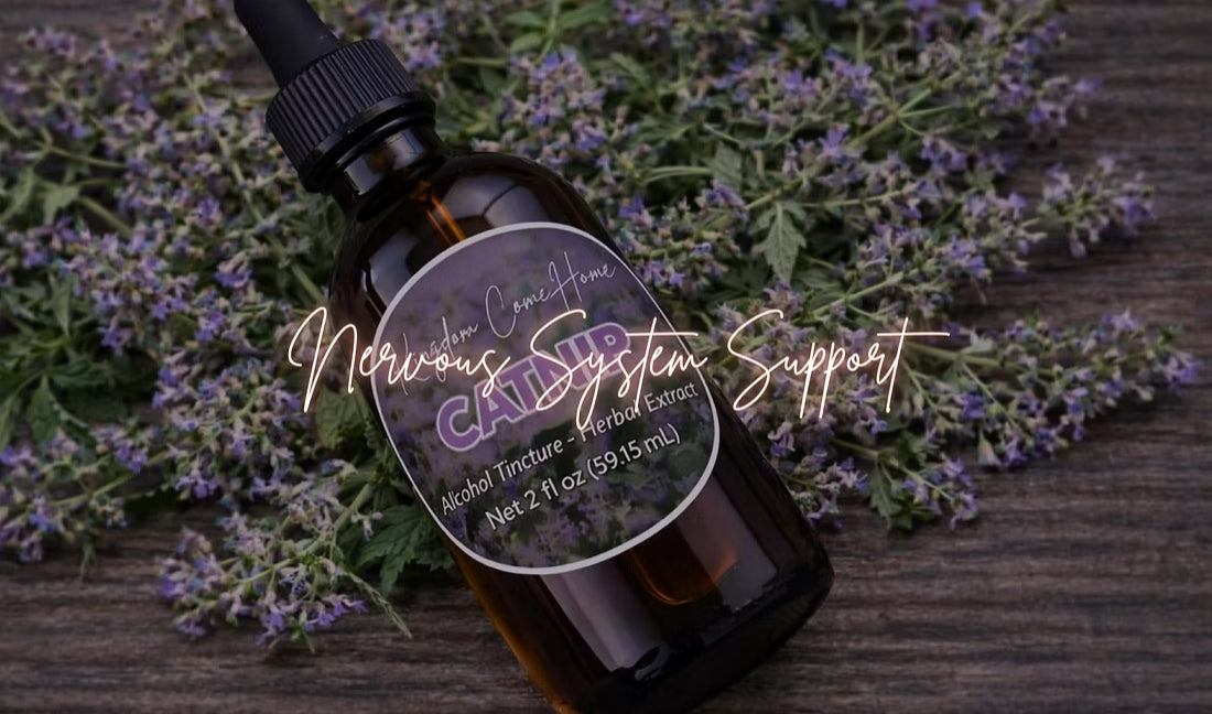 Nervous System Support