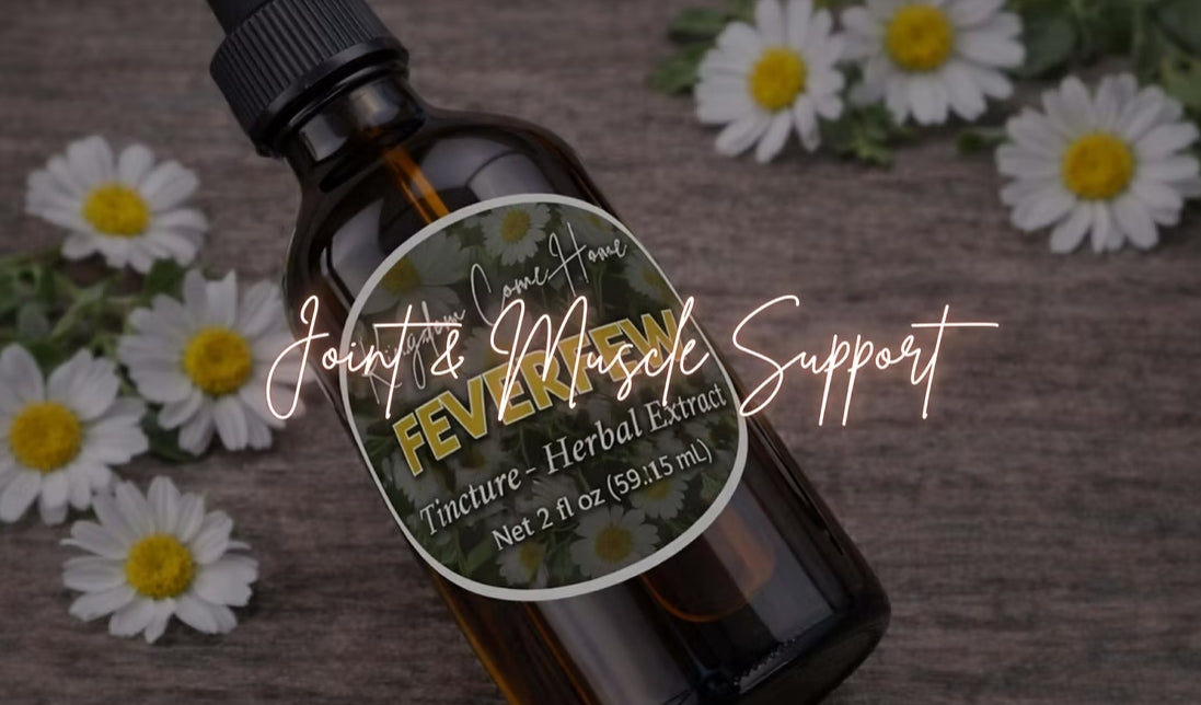 Joint & Muscle Support