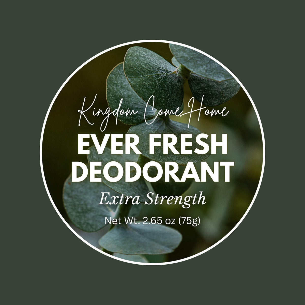 Ever Fresh Deodorant - Extra Strength