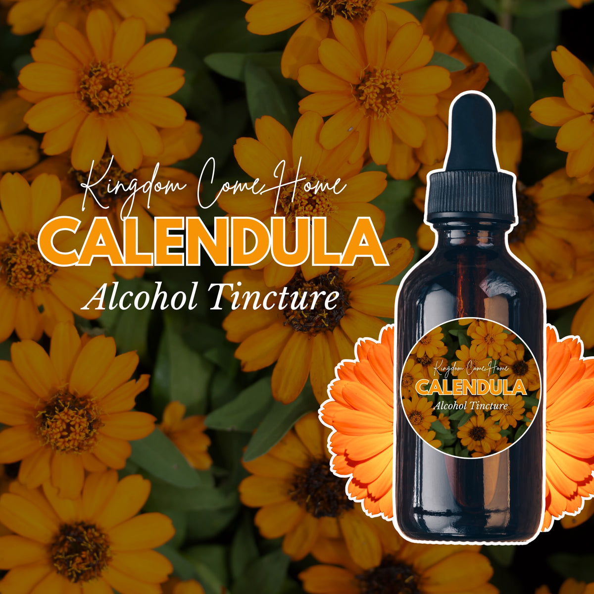 Calendula - Alcohol Tincture