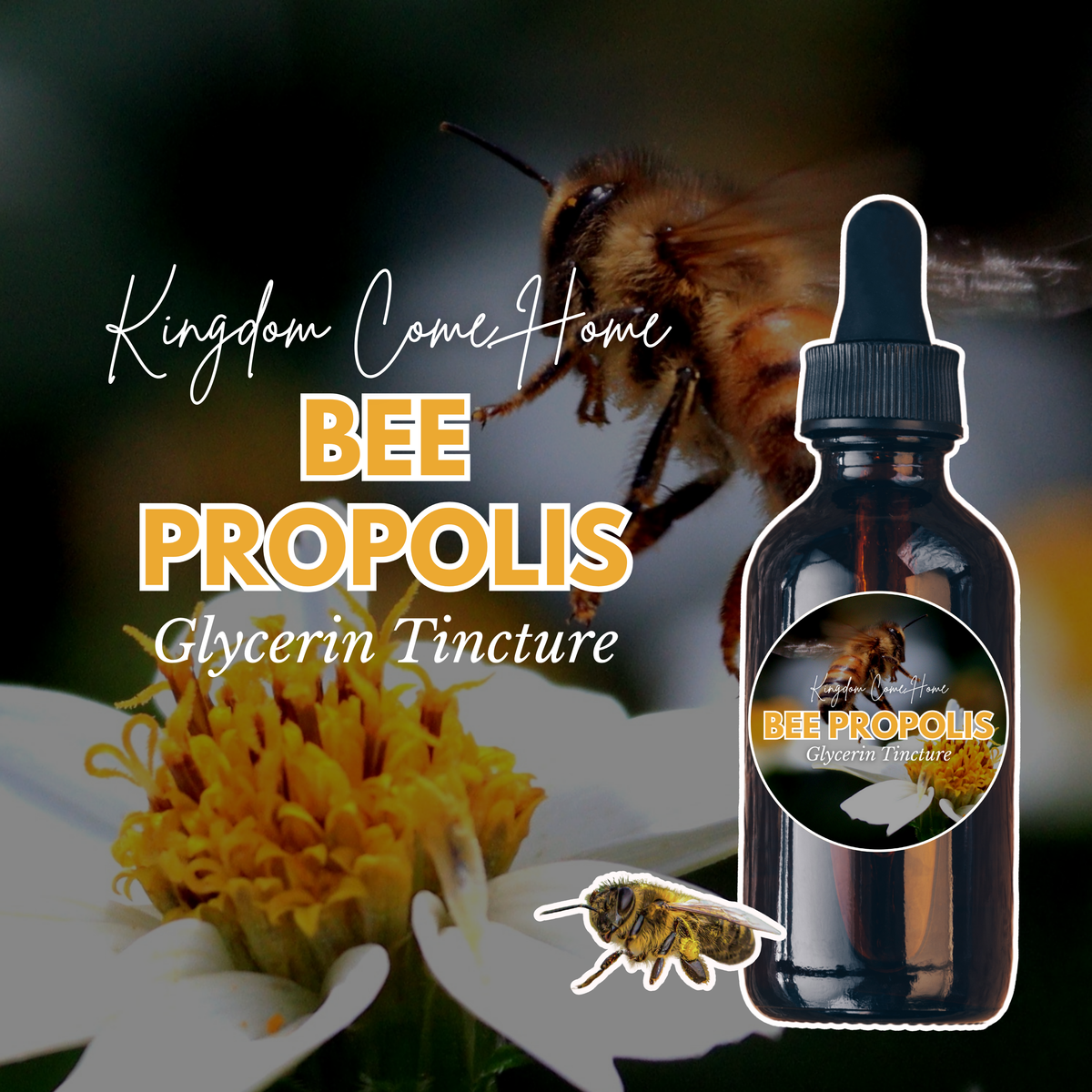 Bee Propolis - Glycerin Tincture