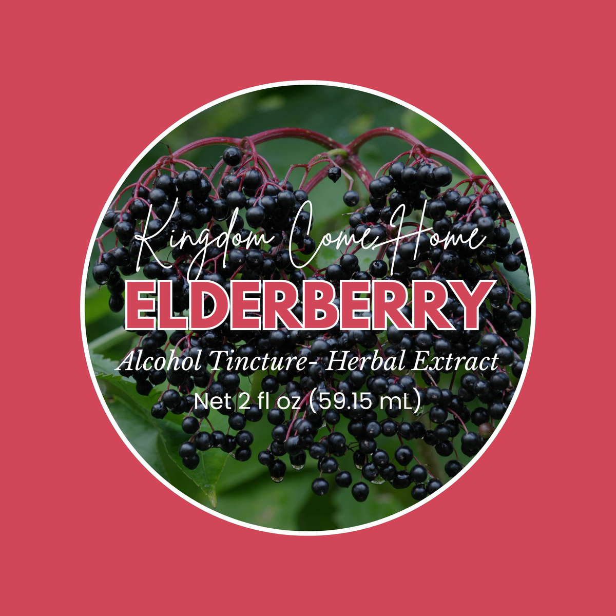 Elderberry - Alcohol Tincture