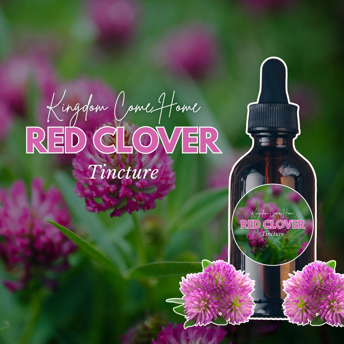 Red Clover Tincture