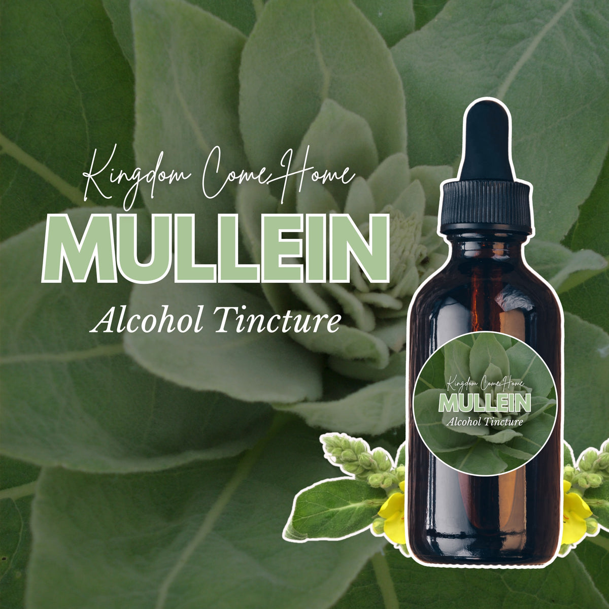 Mullein Leaf - Alcohol Tincture