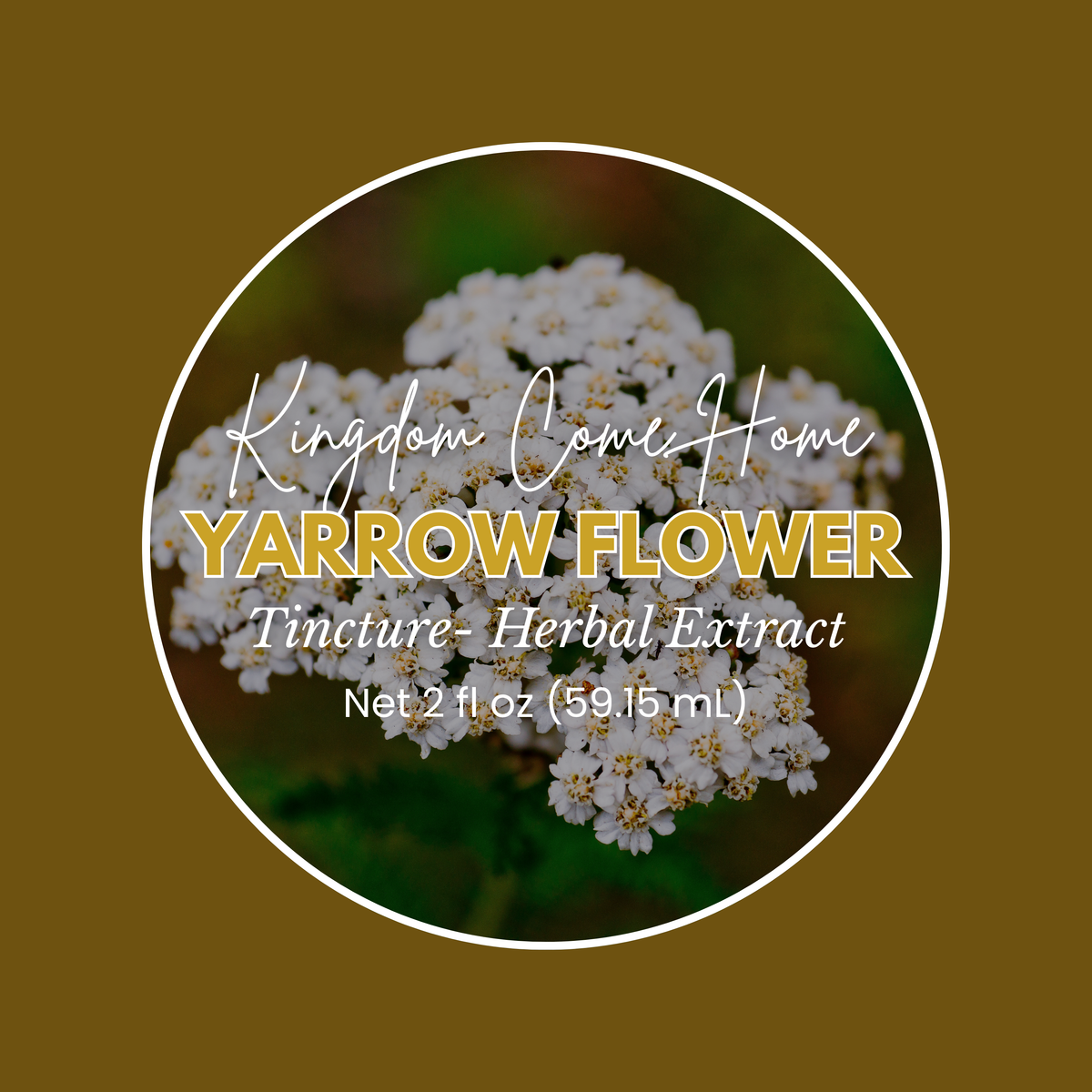 Yarrow Flower Tincture