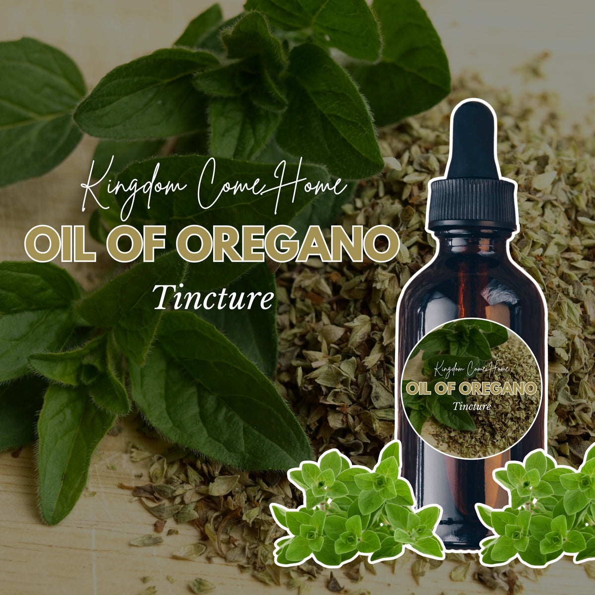 Oil of Oregano - Tincture