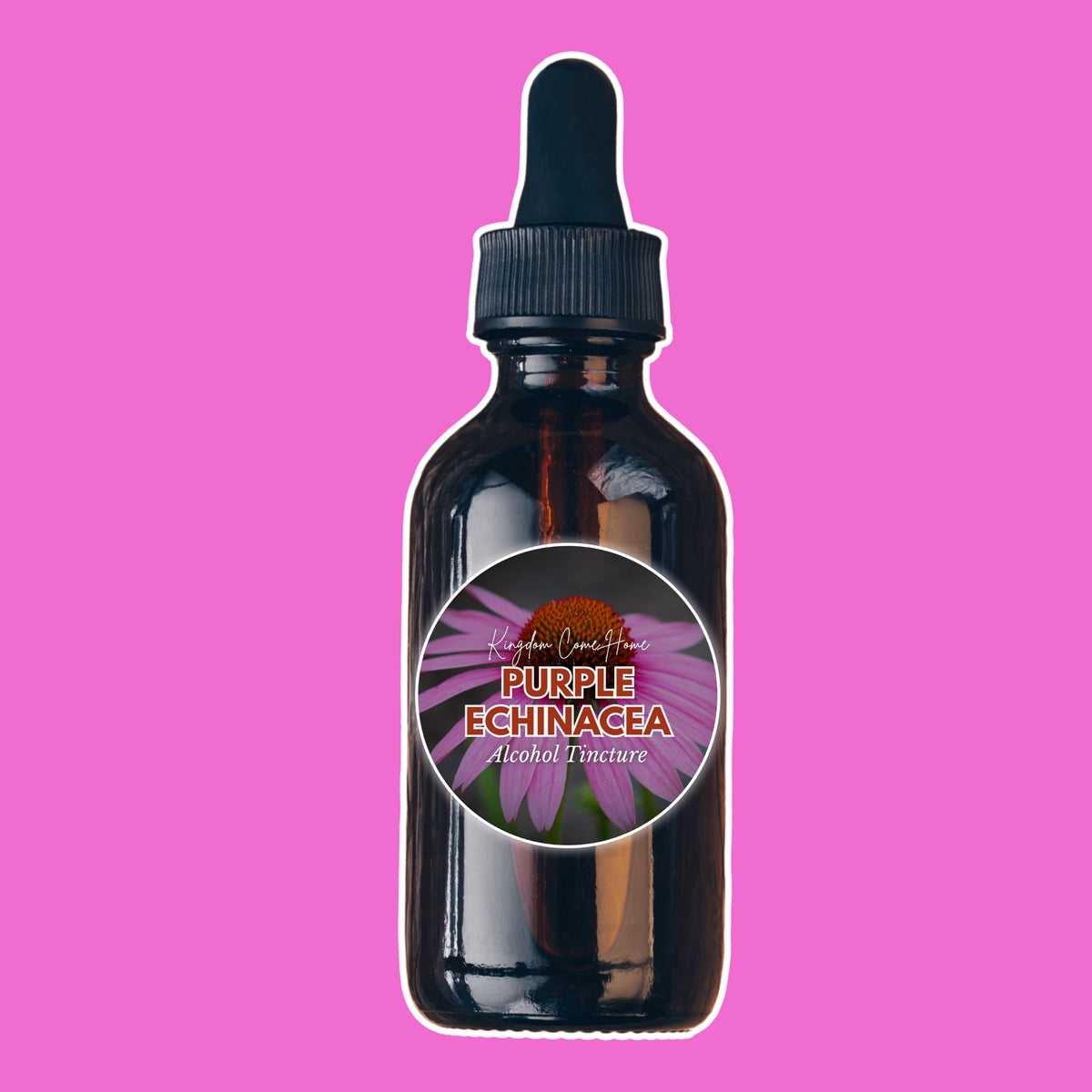 Purple Echinacea - Alcohol Tincture