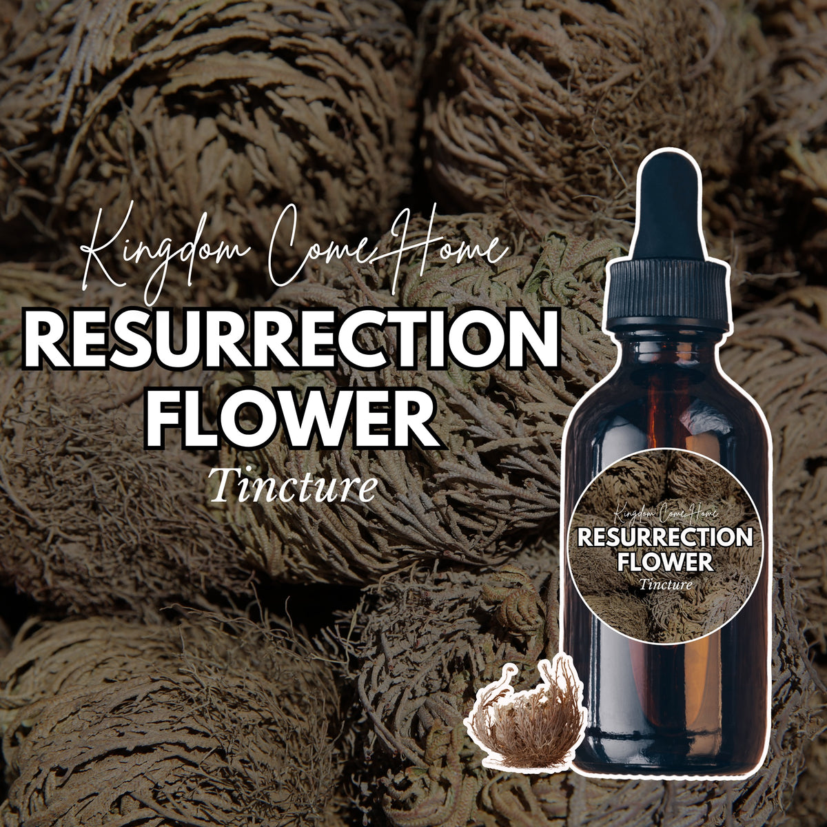 Resurrection Flower Tincture