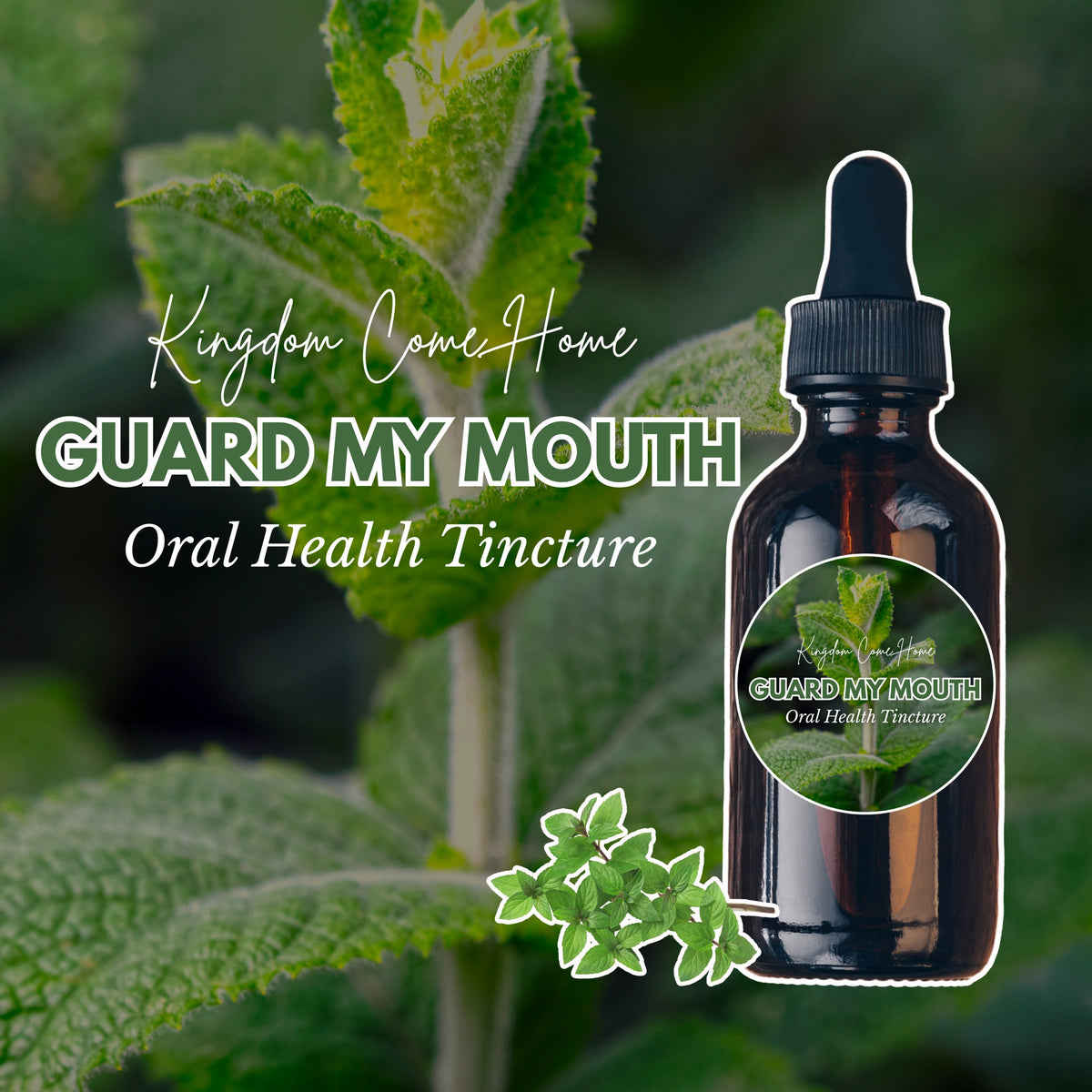 Guard My Mouth - Oral Health Tincture