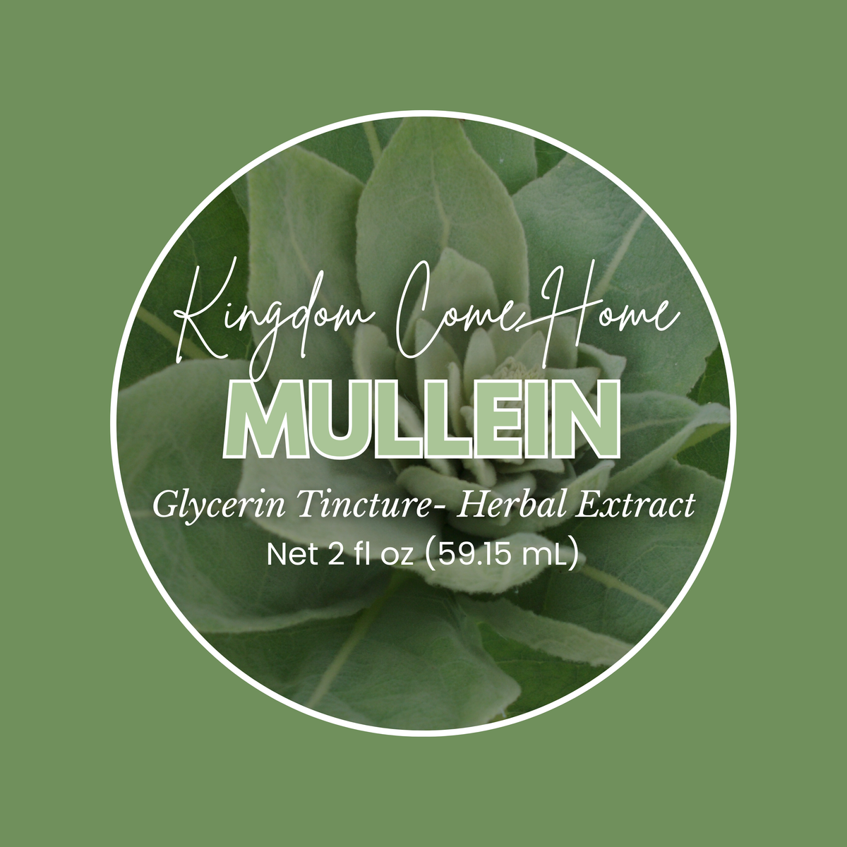 Mullein - Glycerin Tincture