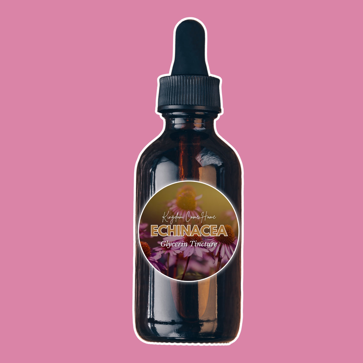 Echinacea - Glycerin Tincture
