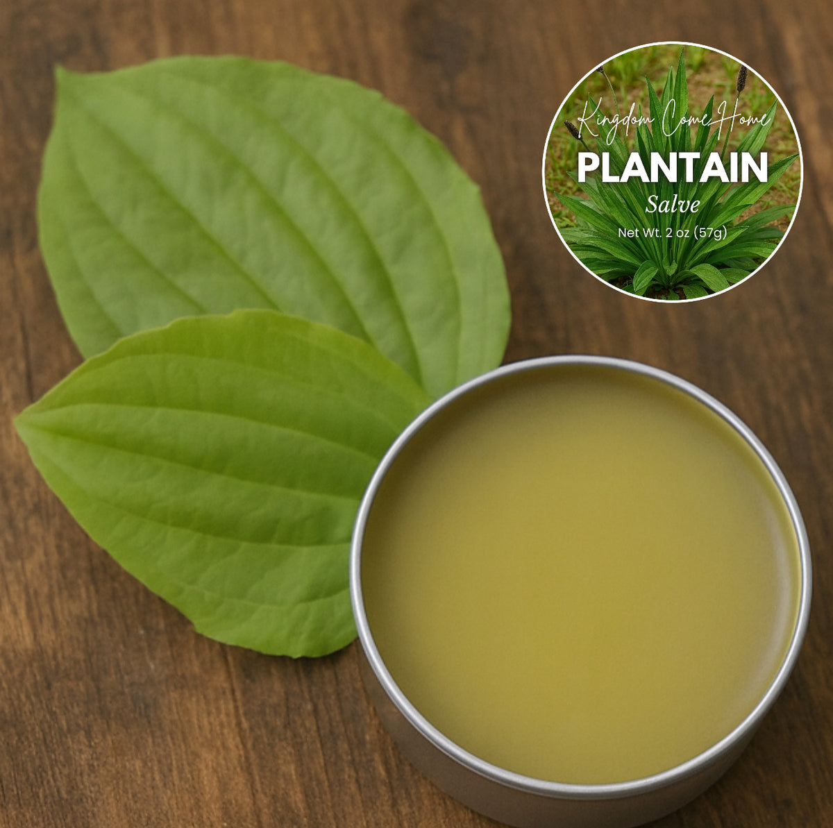 Plantain Healing Salve