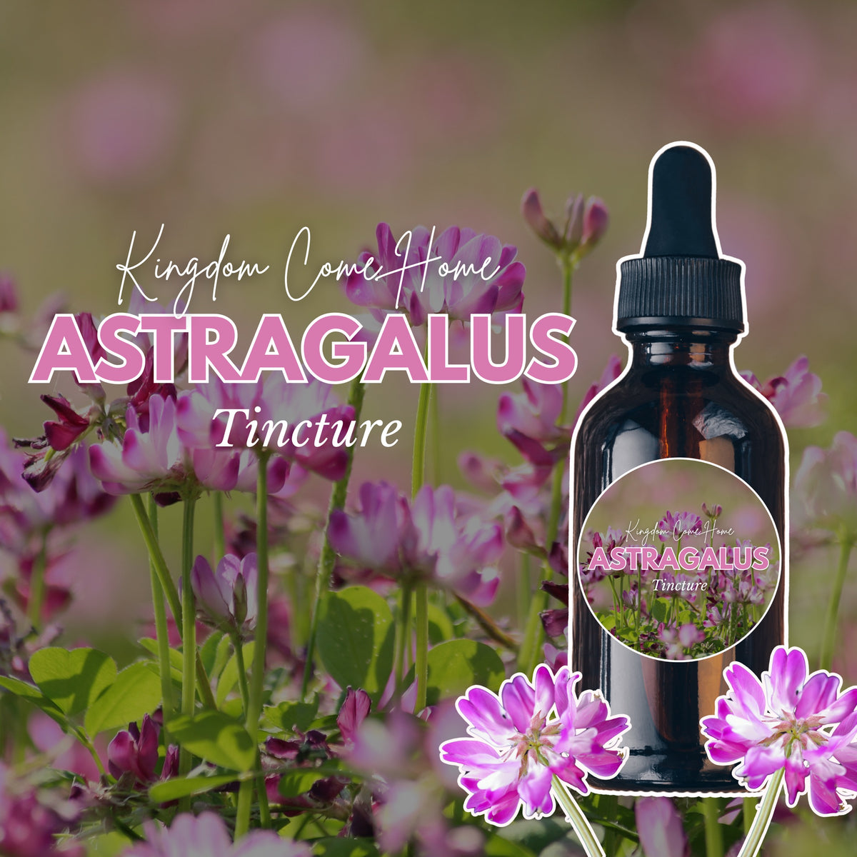 Astragalus Tincture