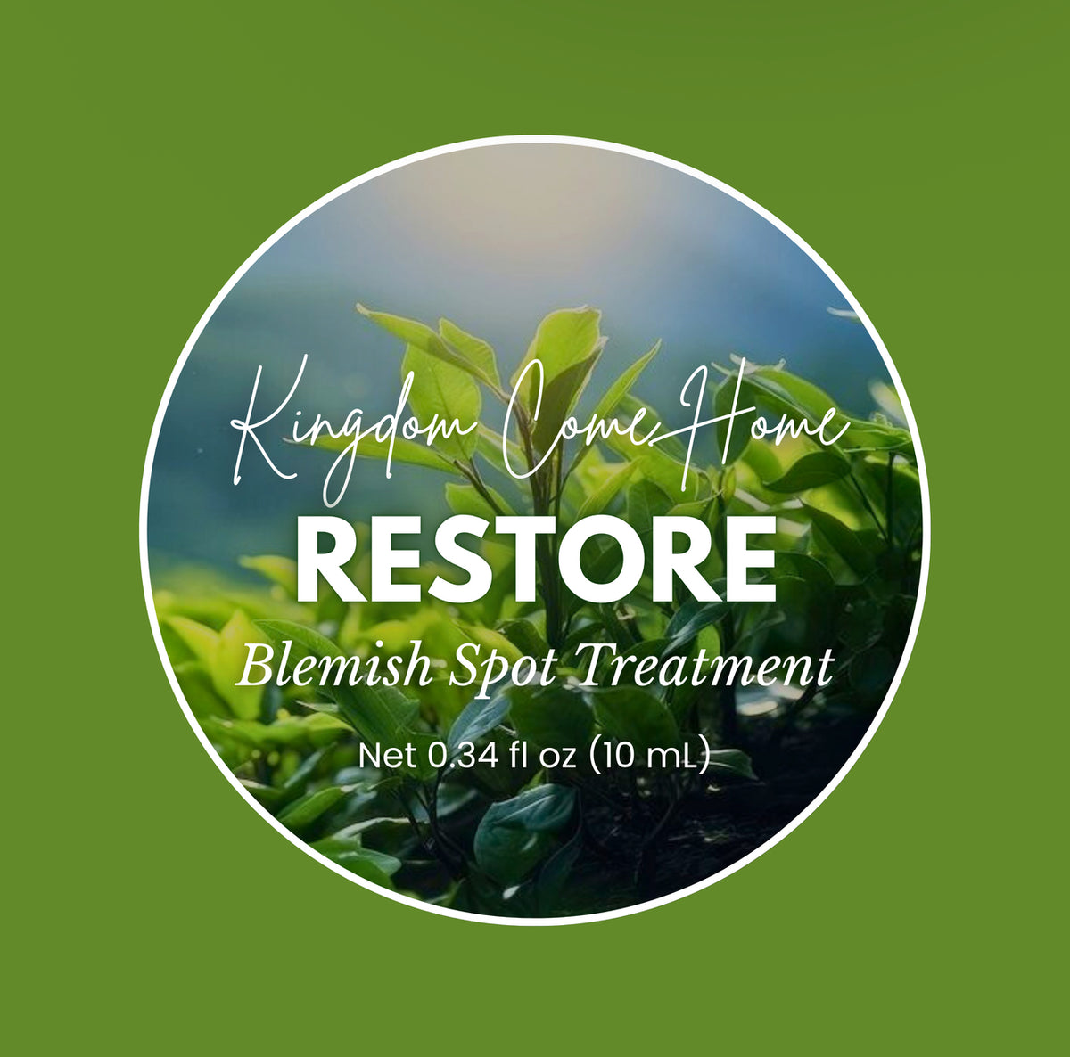 Restore Blemish Spot Treatment