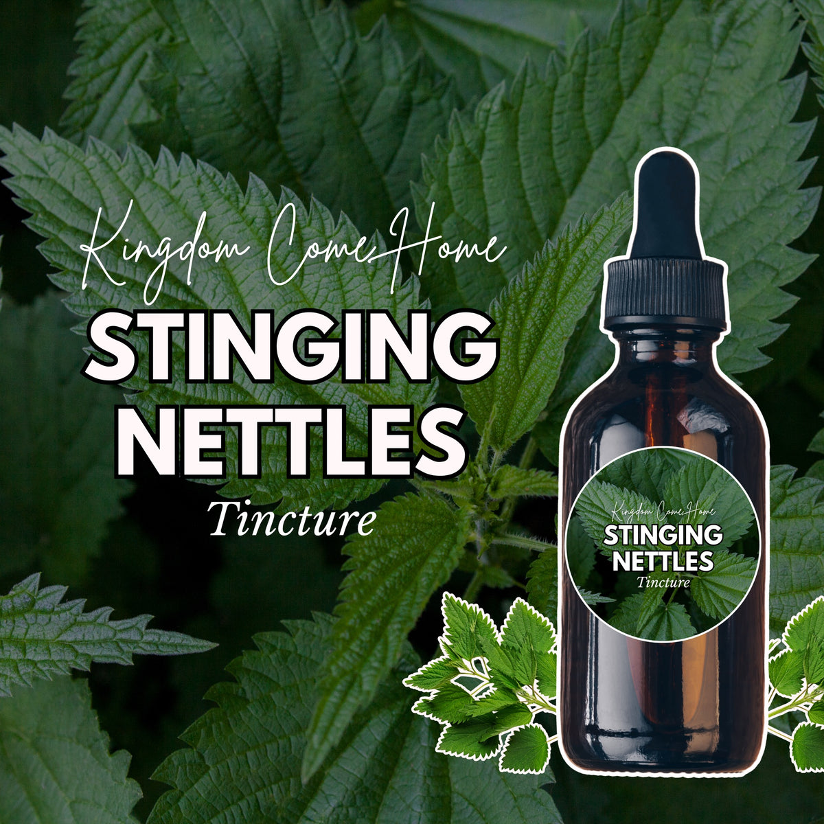 Stinging Nettles Tincture