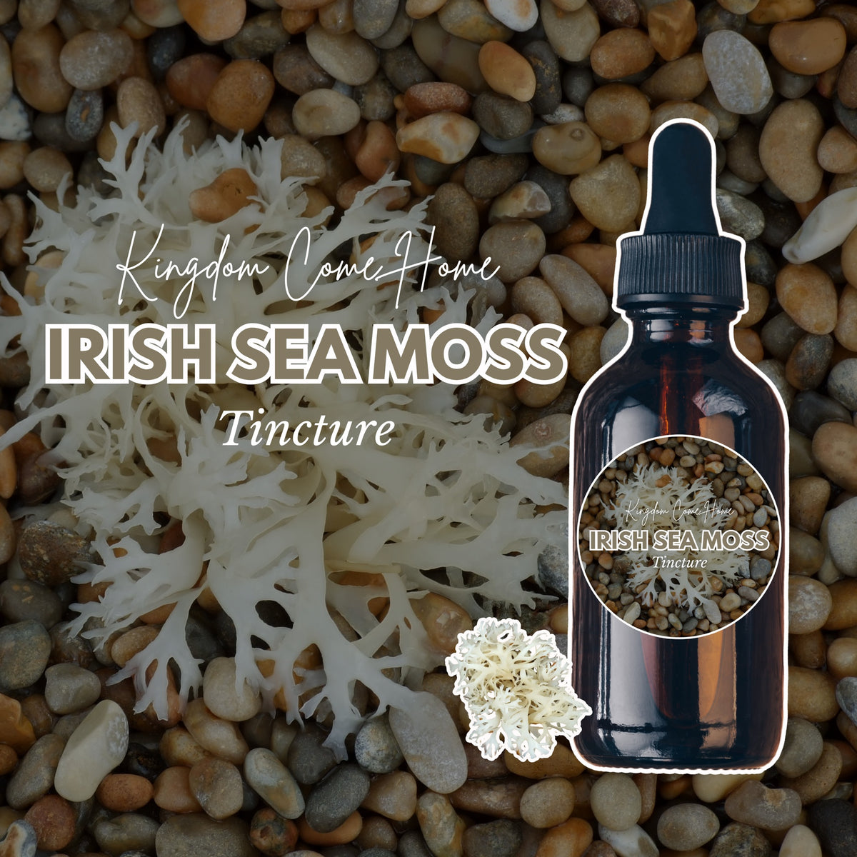 Irish Sea Moss Tincture - Wildcrafted