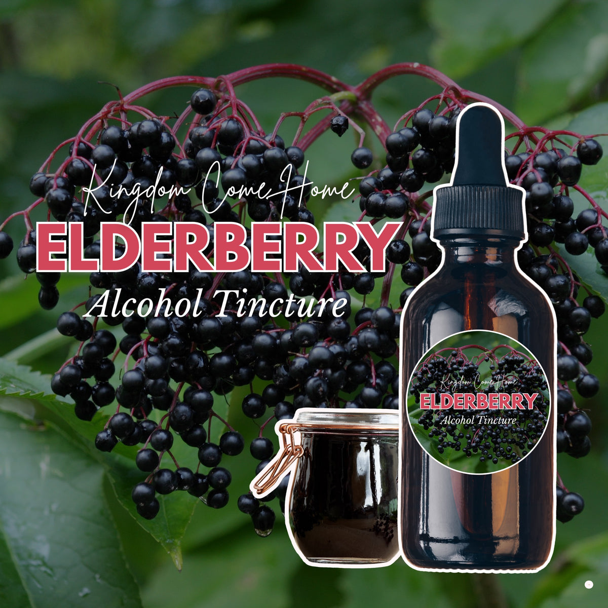 Elderberry - Alcohol Tincture