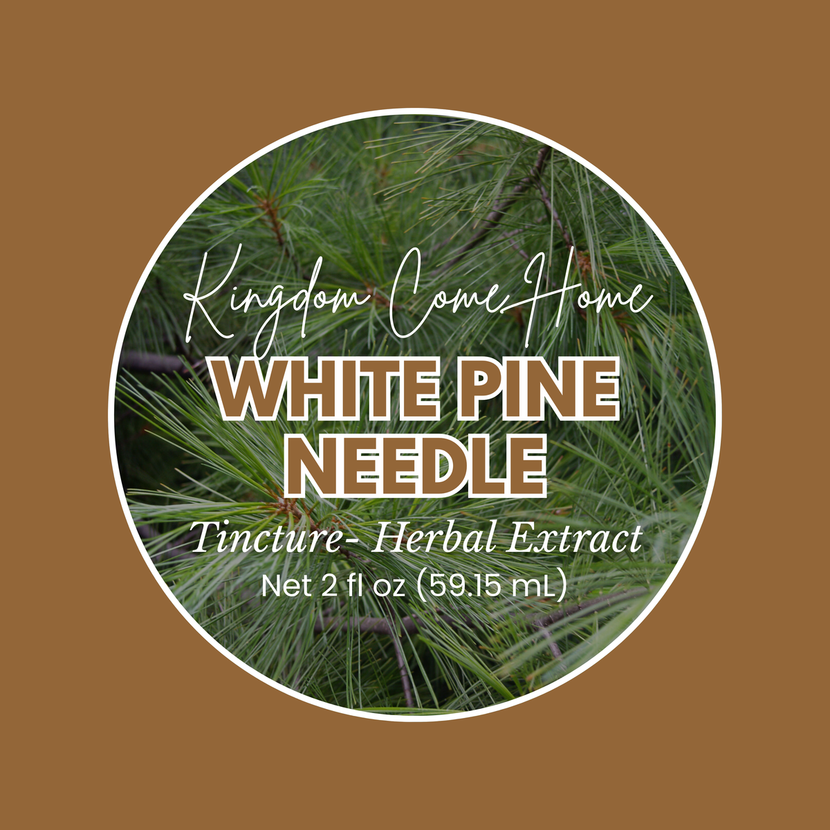 White Pine Needle Tincture