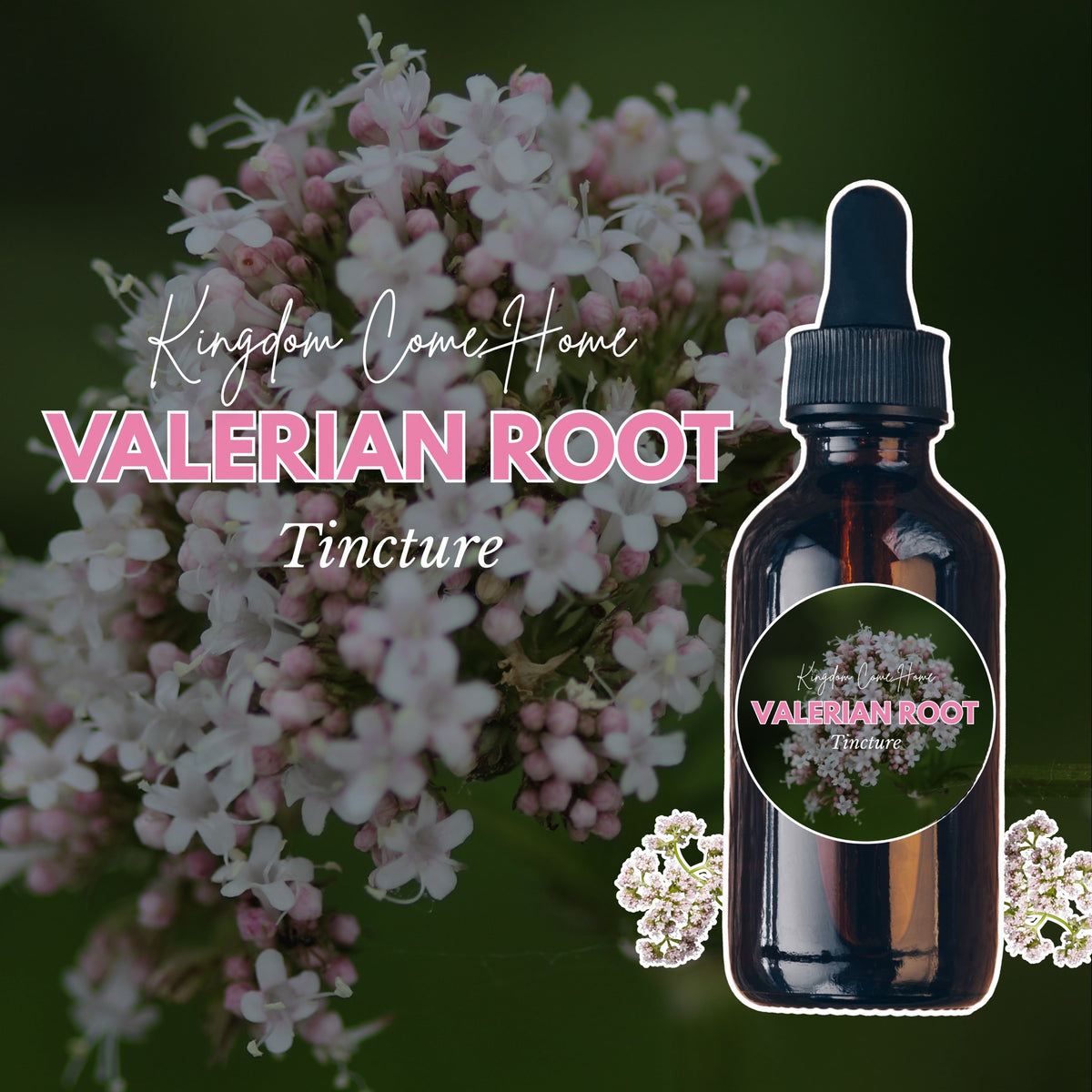 Valerian Root Tincture