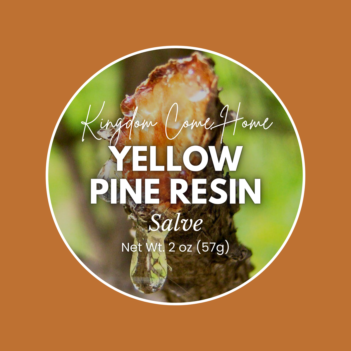Yellow Pine Resin Healing Salve