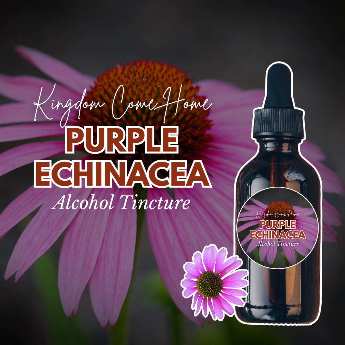 Purple Echinacea - Alcohol Tincture