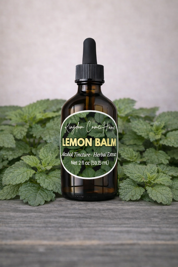 Lemon Balm - Alcohol Tincture