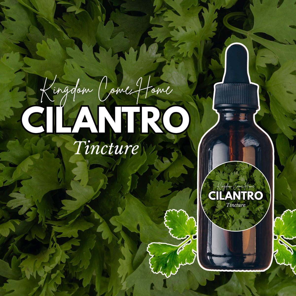 Cilantro Tincture