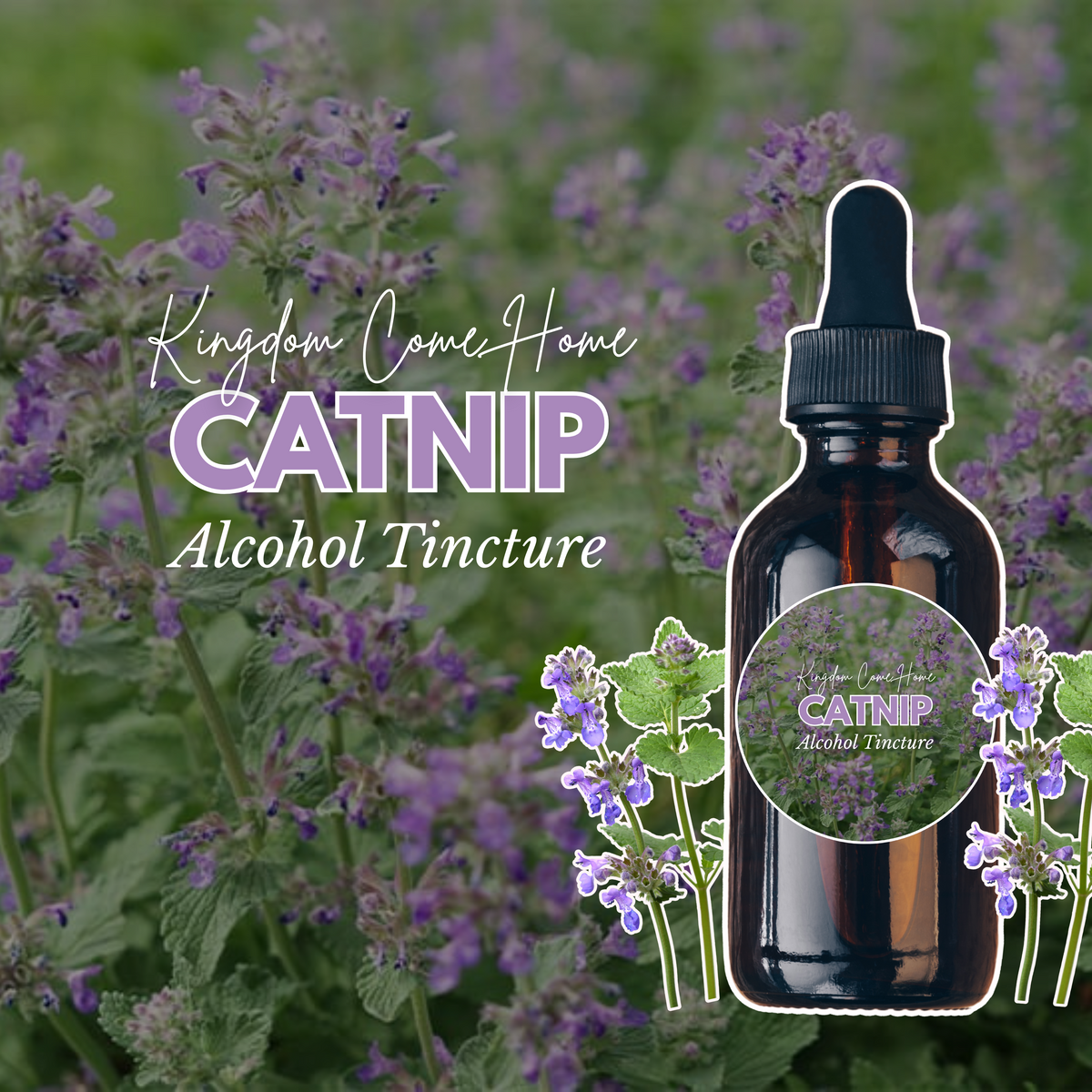 Catnip - Alcohol Tincture