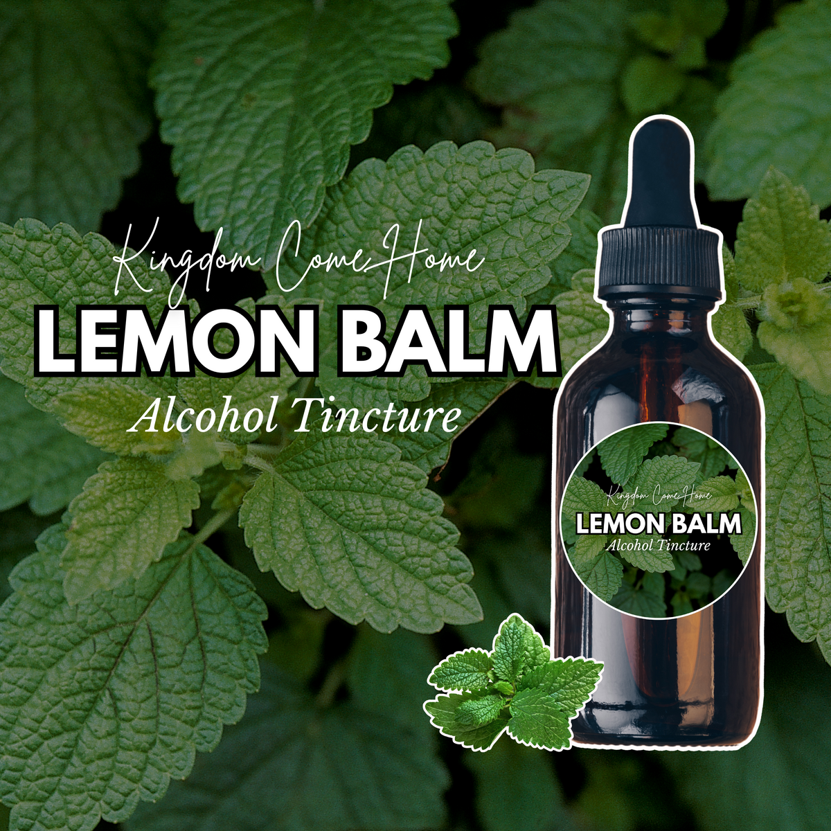 Lemon Balm - Alcohol Tincture