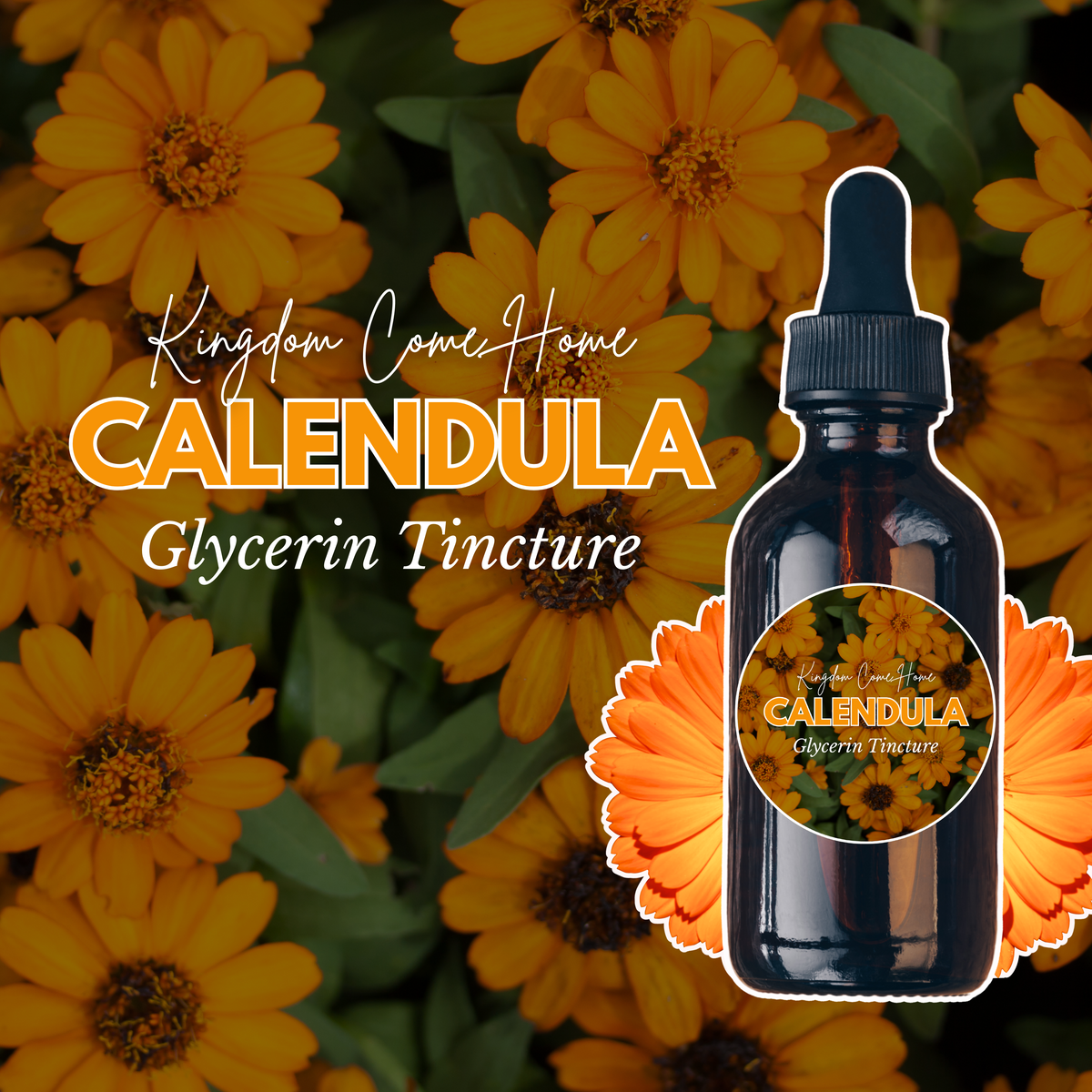 Calendula - Glycerin Tincture
