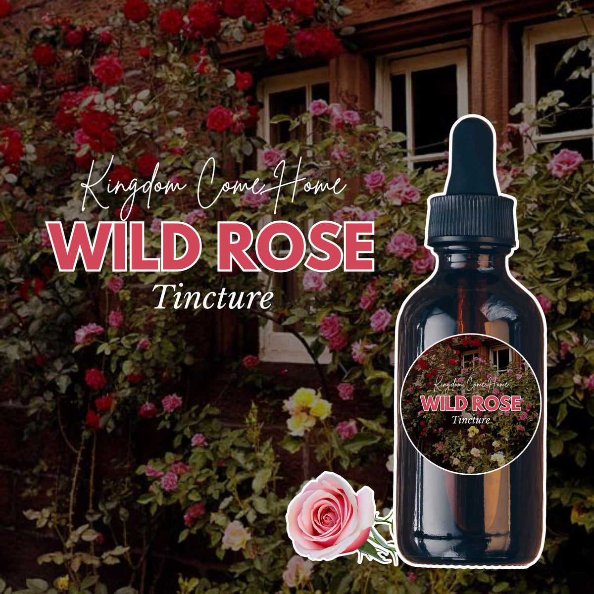 Wild Rose Tincture