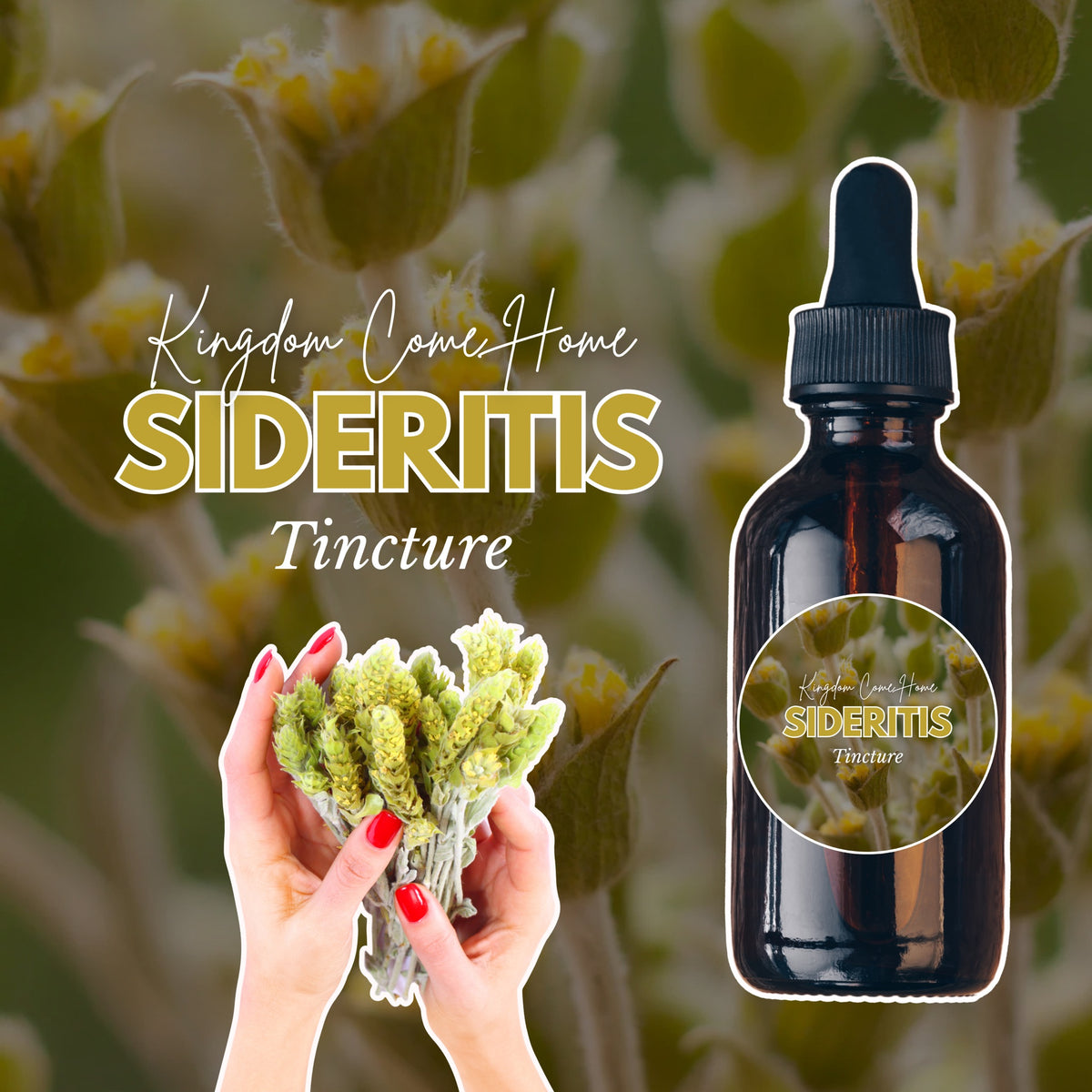 Sideritis Tincture