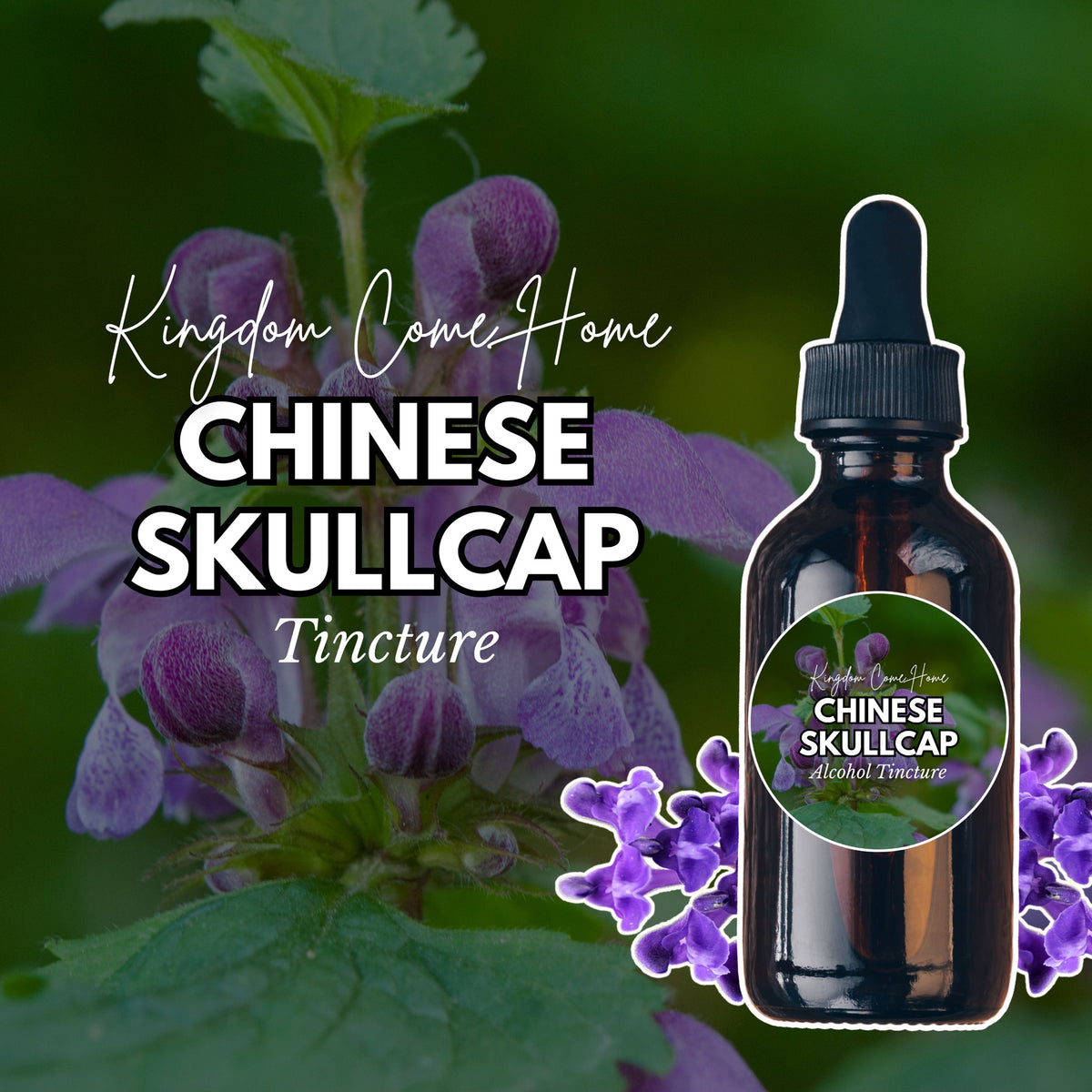 Chinese Skullcap - Alcohol Tincture