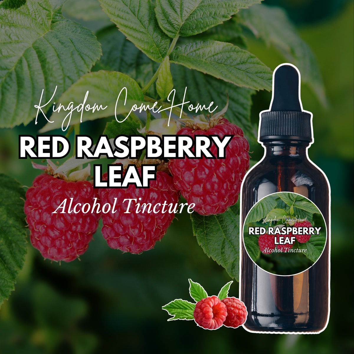 Red Raspberry Leaf - Alcohol Tincture