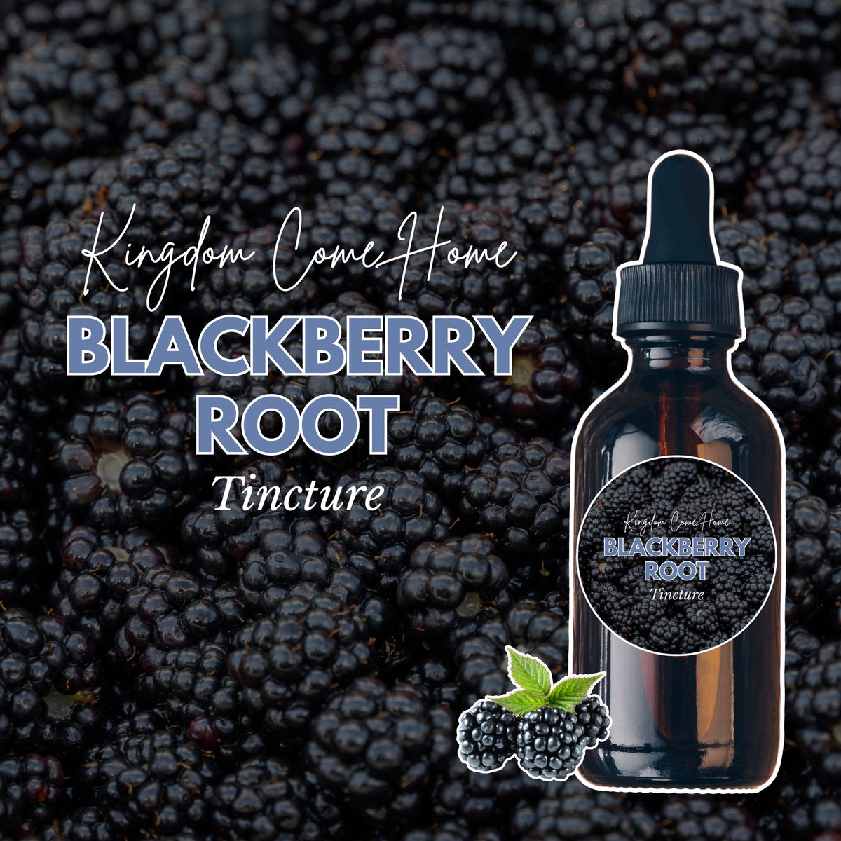 Blackberry Root Tincture