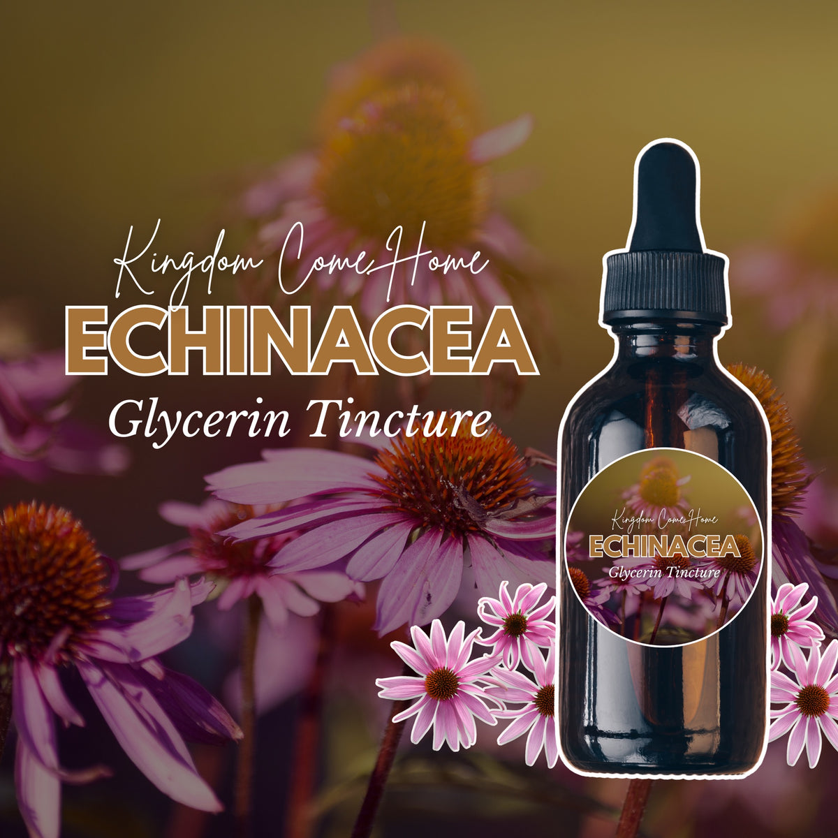 Echinacea - Glycerin Tincture