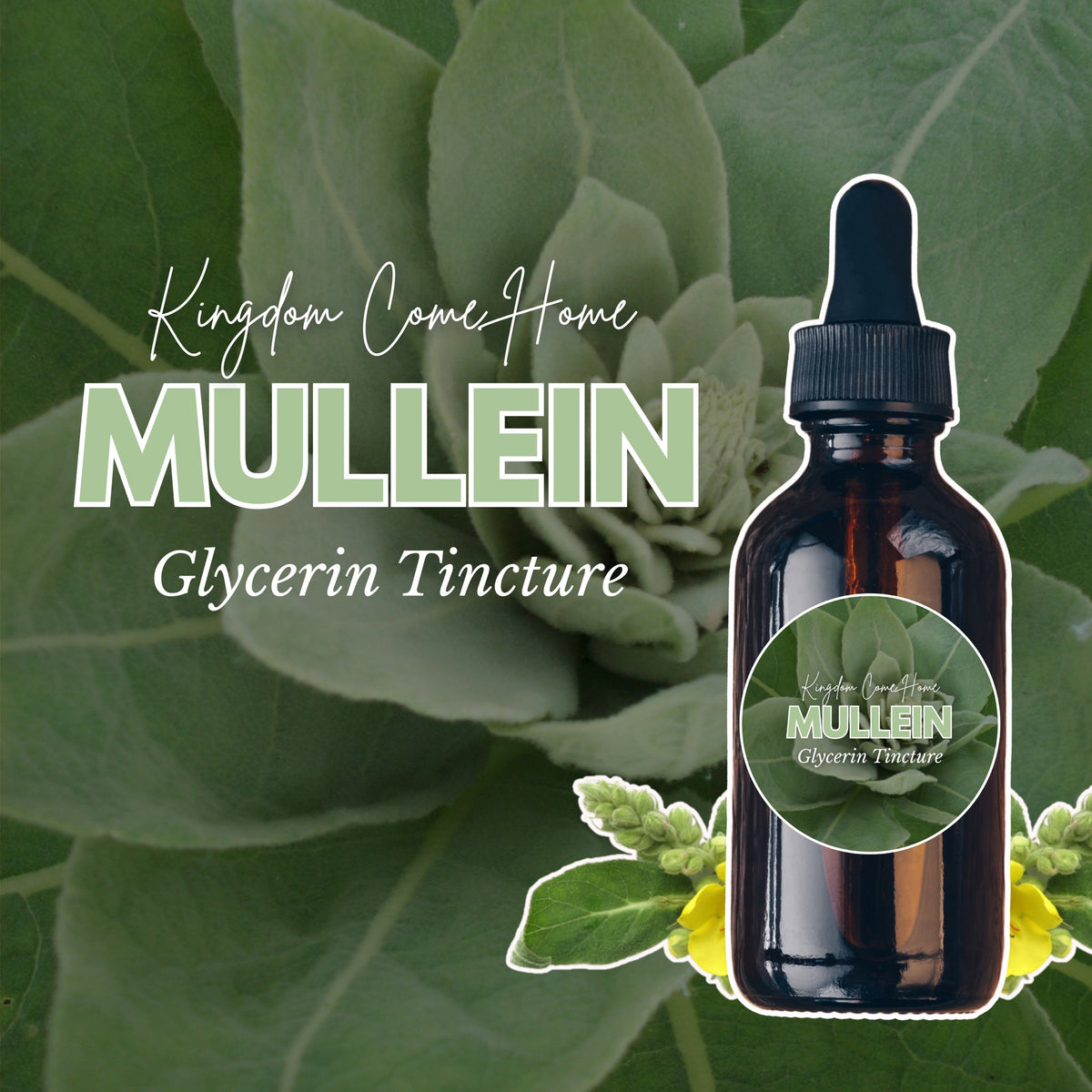Mullein - Glycerin Tincture