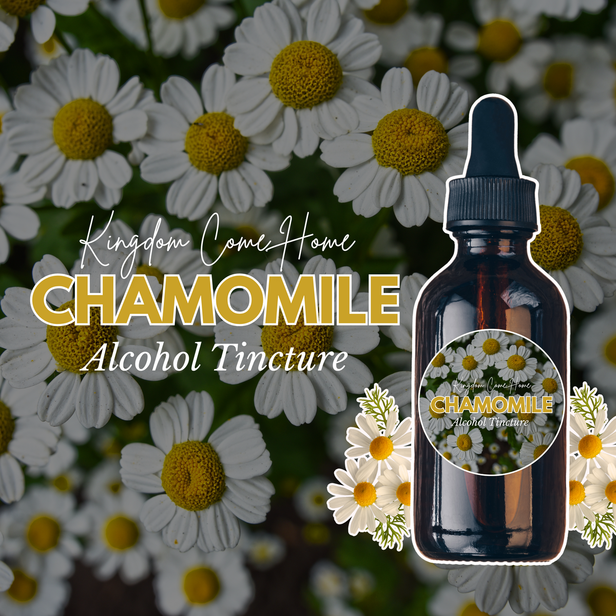 Chamomile - Alcohol Tincture