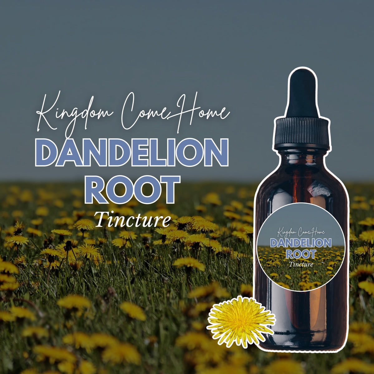 Dandelion Root Tincture