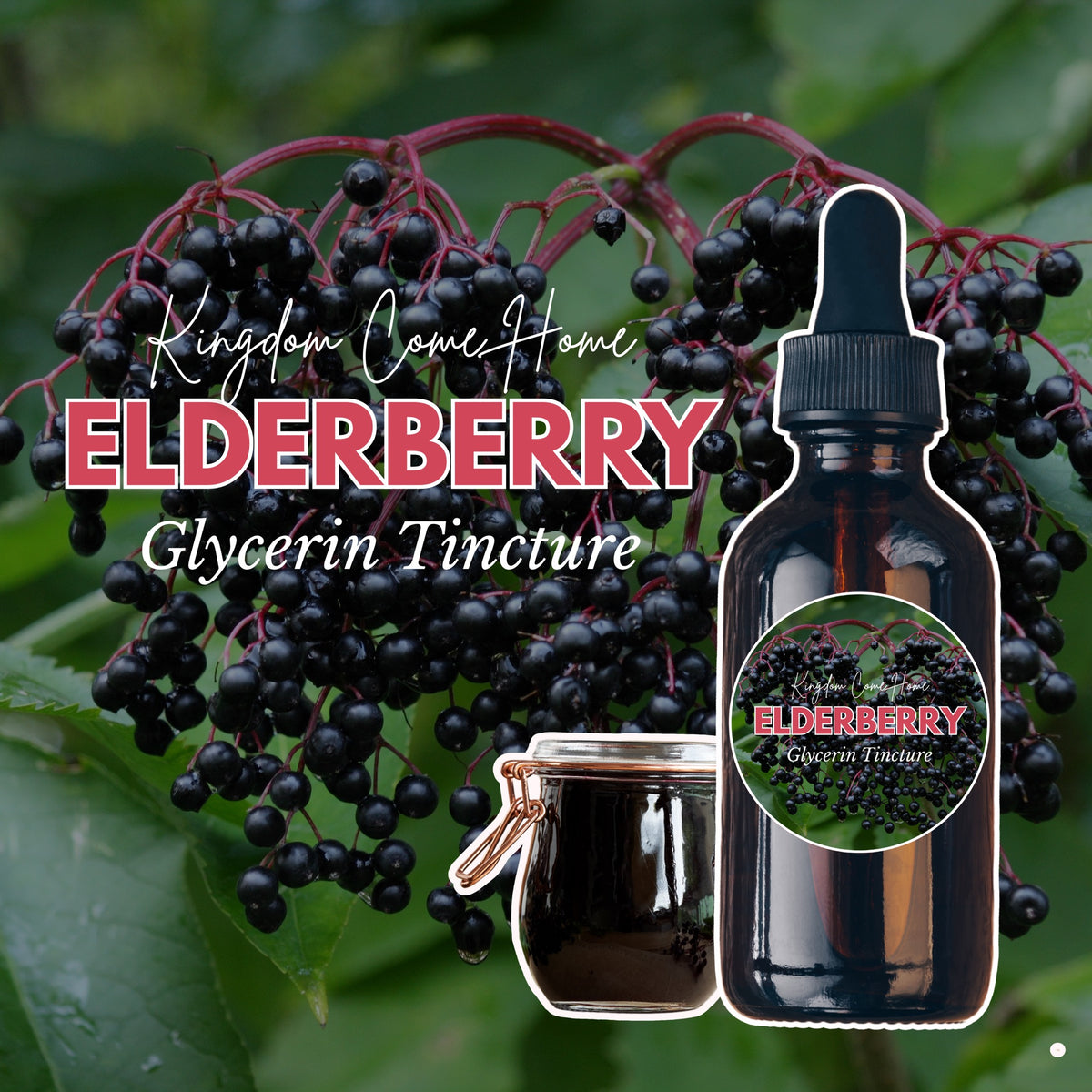 Elderberry - Glycerin Tincture