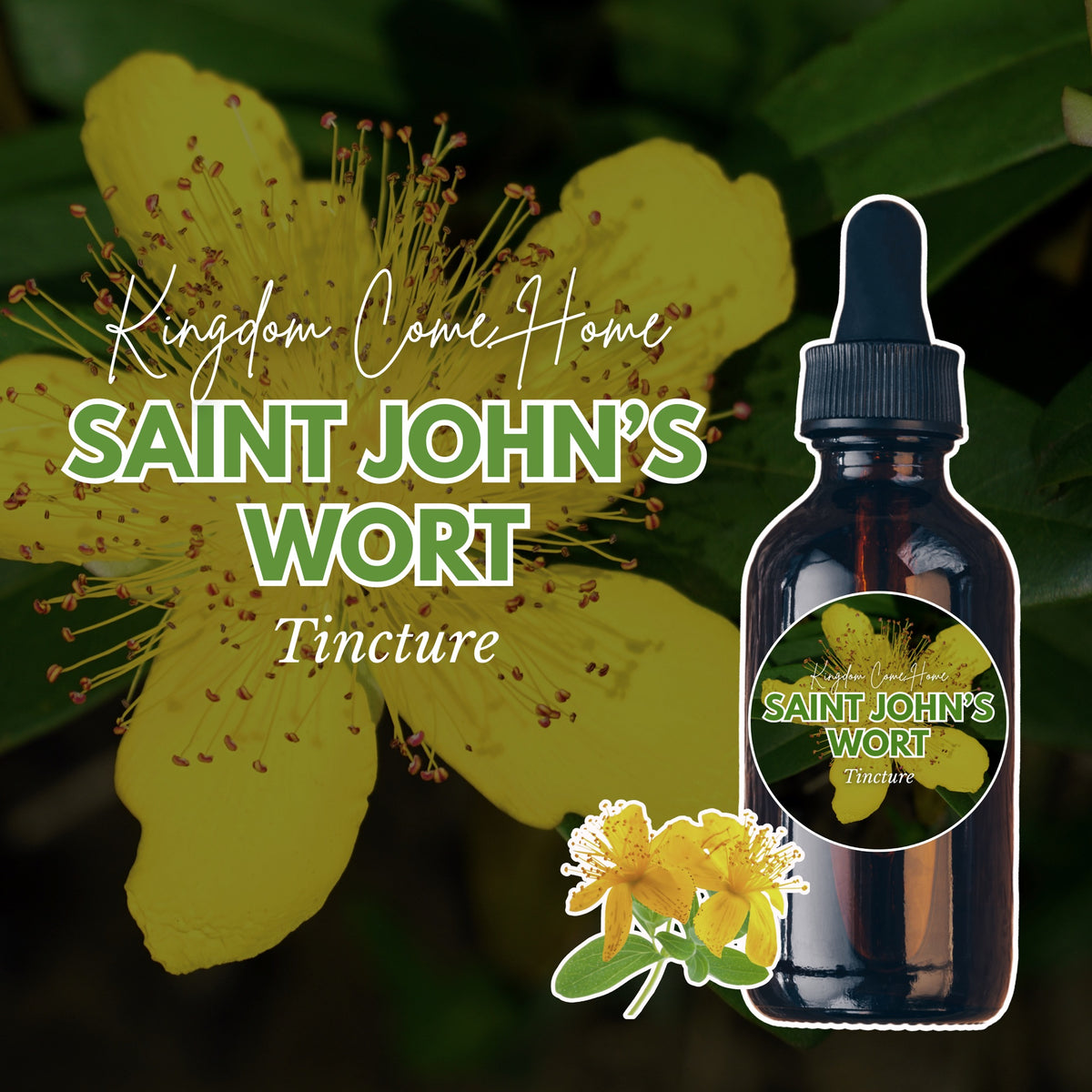 Saint John’s Wort Tincture