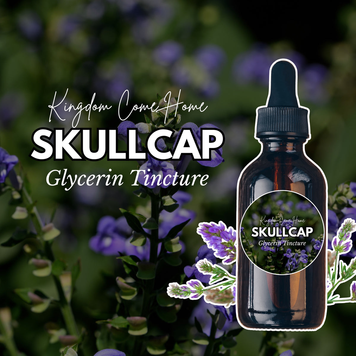 Skullcap - Glycerin Tincture