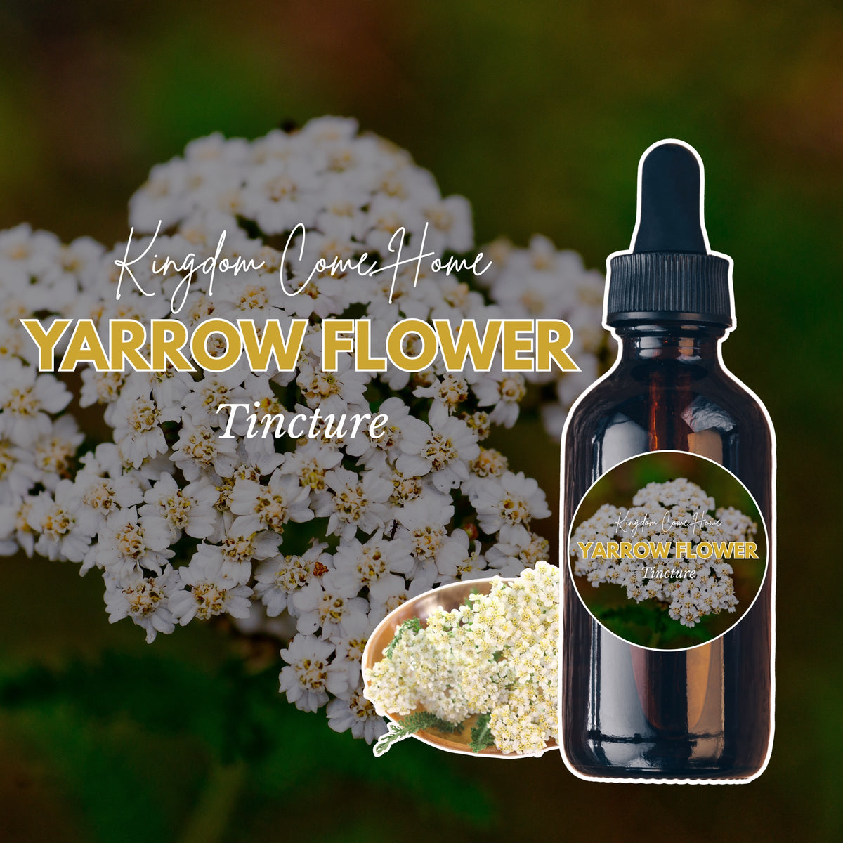 Yarrow Flower Tincture