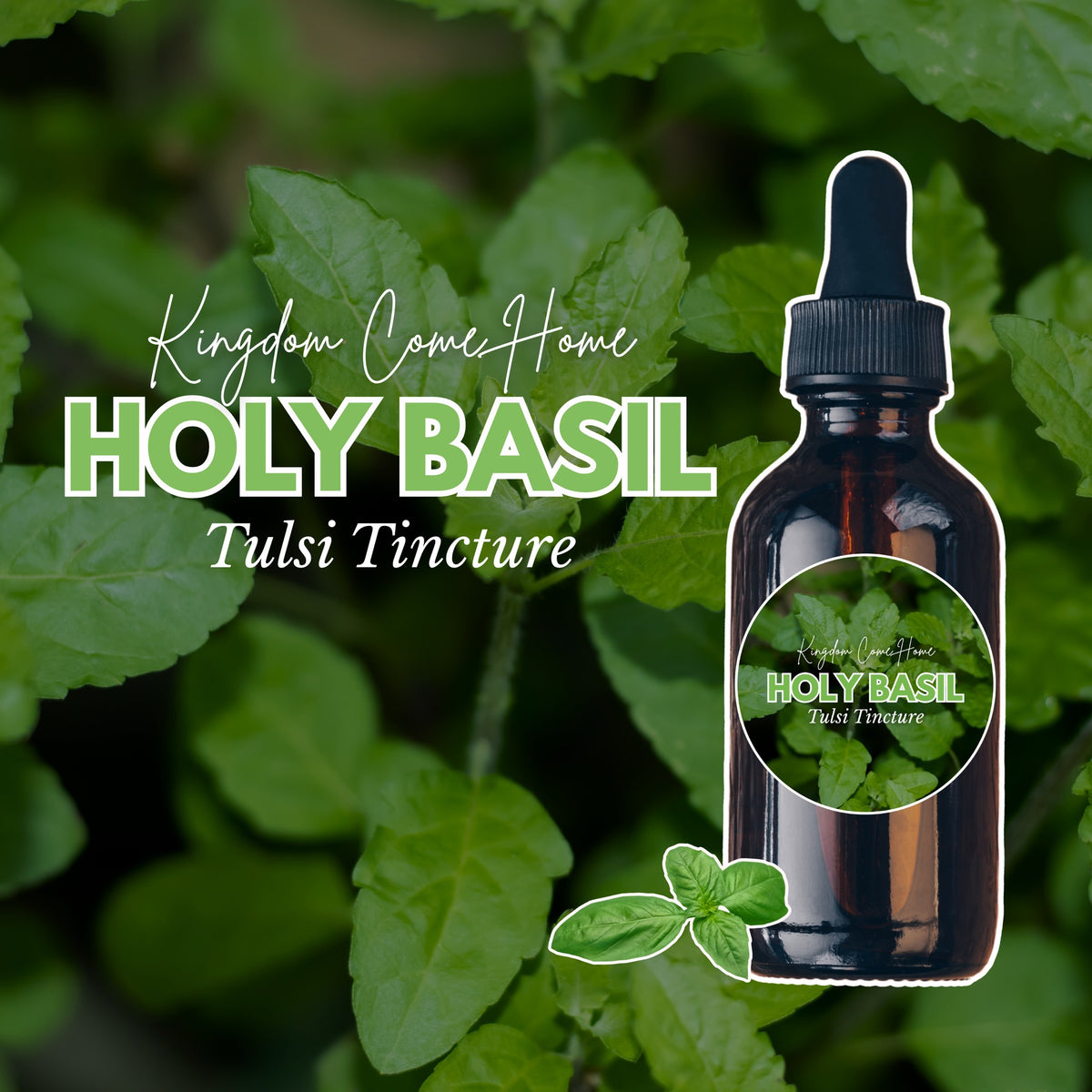 Holy Basil (Tulsi) Tincture