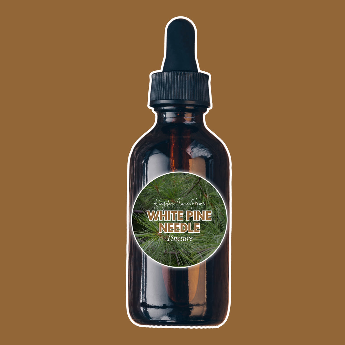 White Pine Needle Tincture