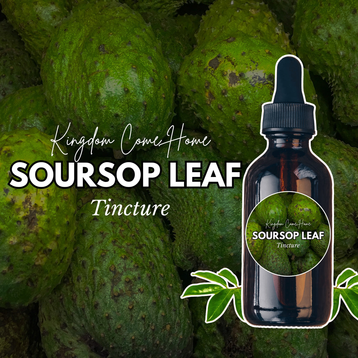Soursop Leaf Tincture