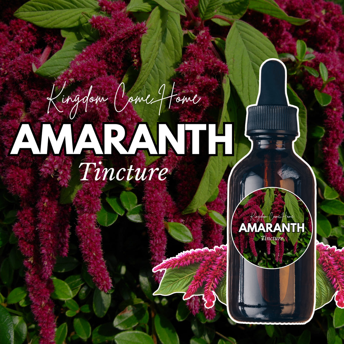 Amaranth Tincture