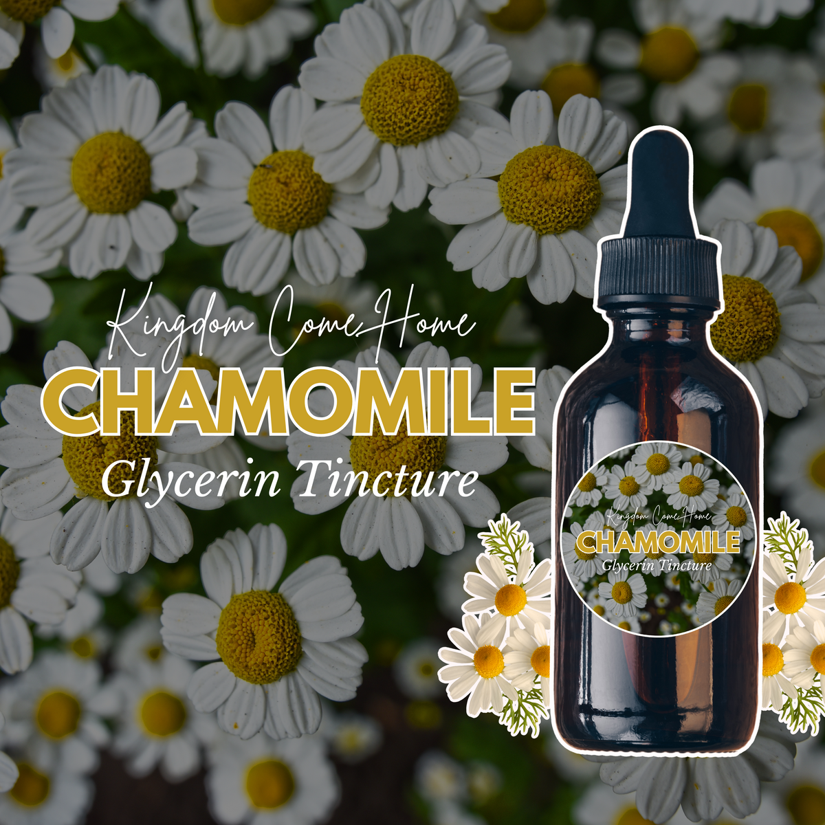 Chamomile - Glycerin Tincture