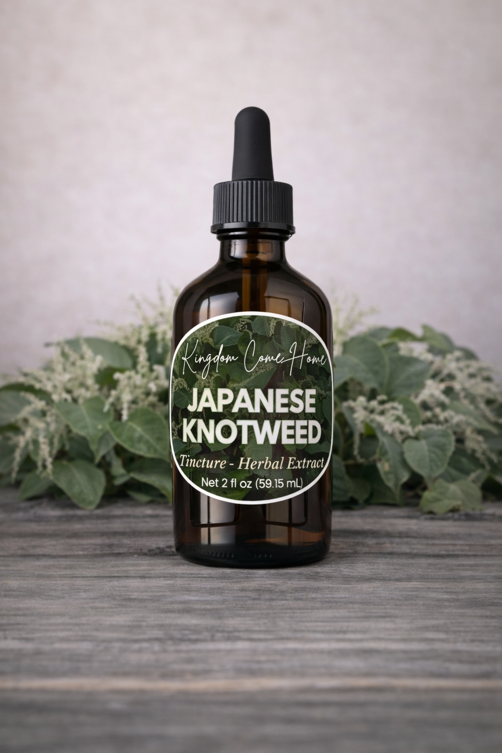 Japanese Knotweed Tincture